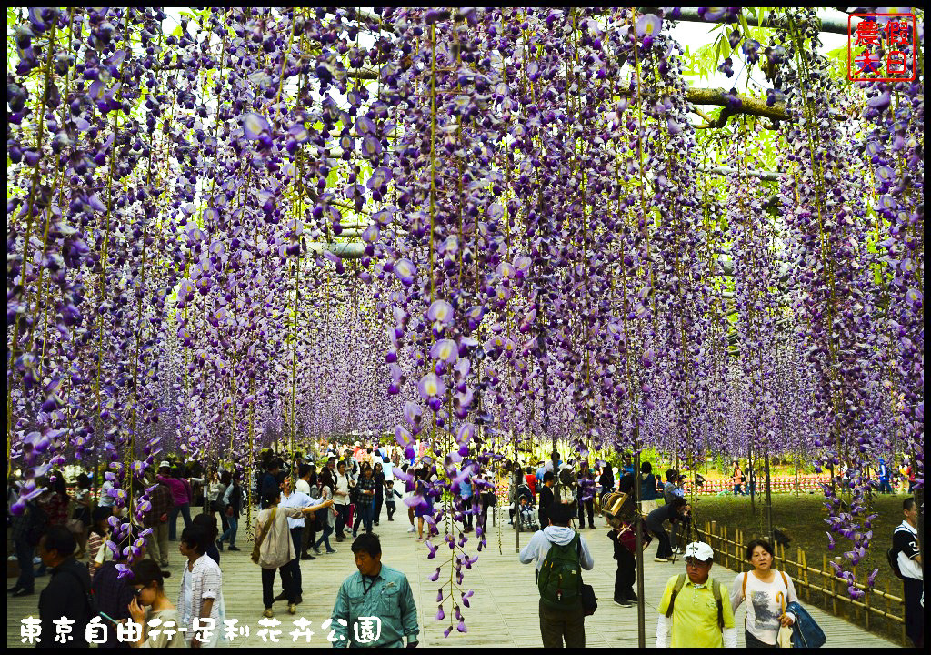 東京自由行-足利花卉公園DSC_1693