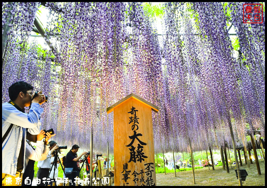 東京自由行-足利花卉公園DSC_1790