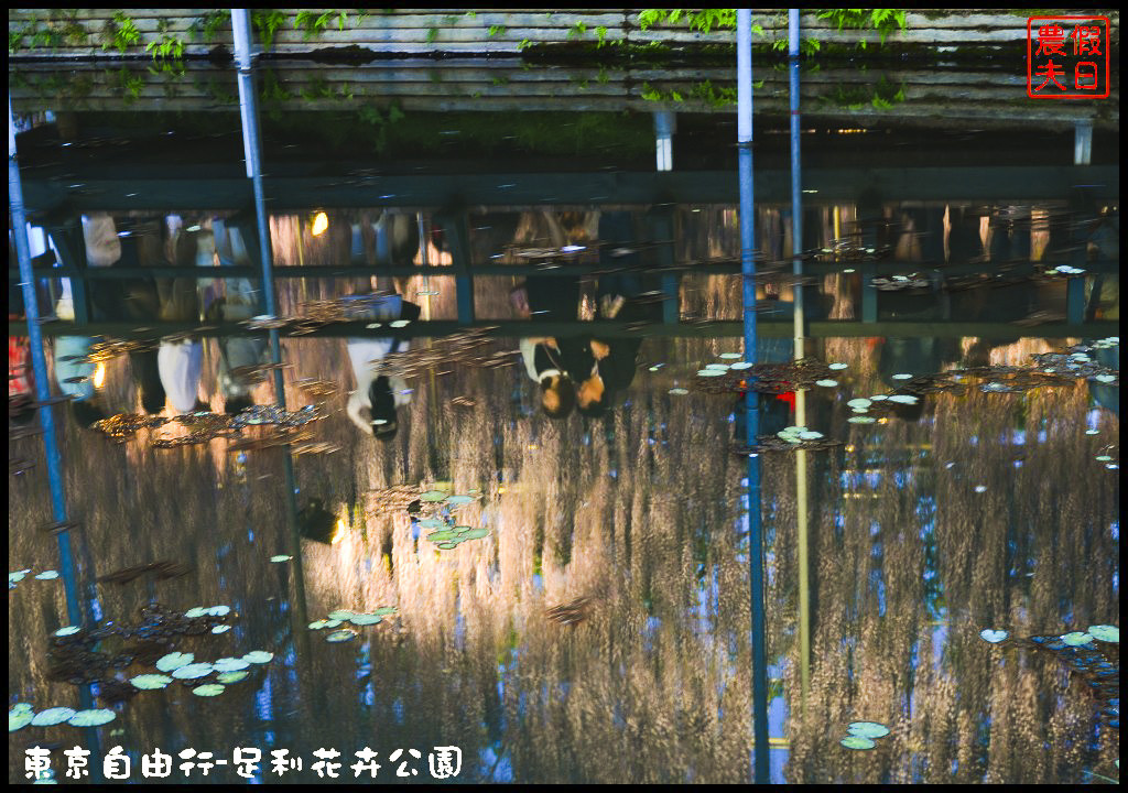東京自由行-足利花卉公園DSC_1879
