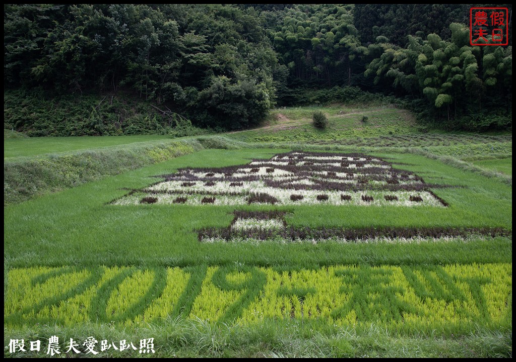日本旅遊|福島三春町田園藝術彩繪稻田．集章可以抽小禮物