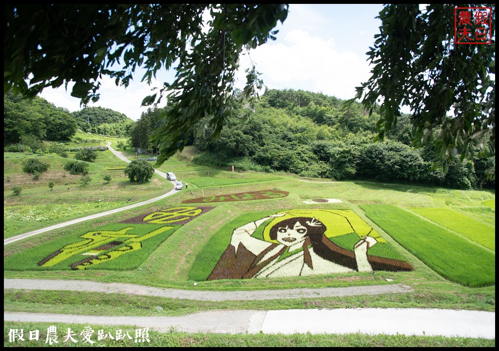 日本旅遊|福島三春町田園藝術彩繪稻田．集章可以抽小禮物