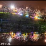 即時熱門文章：全國唯一．石馬公園河津櫻一年盛開二次，秋天開的櫻花你看過嗎