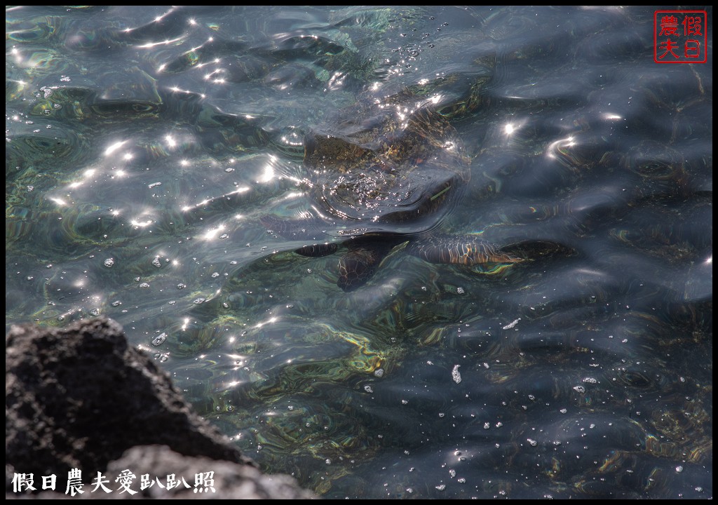 屏東旅遊|小琉球二天一夜怎麼玩．交通住宿景點美食綠蠵龜秘境懶人包