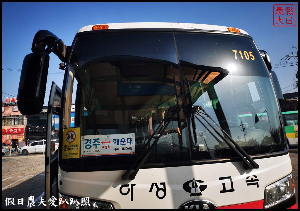 韓國交通|如何從釜山金海機場搭高速巴士到慶州．從慶州到海雲台