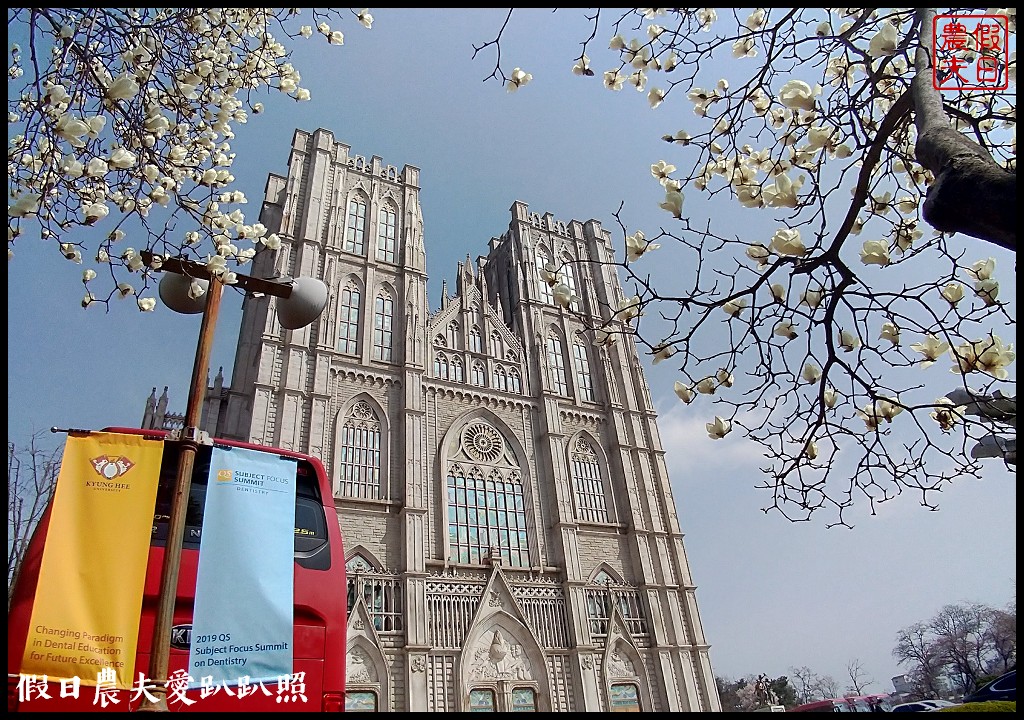首爾|回基站慶熙大學．櫻花搭配哥德式建築的和平殿堂非常漂亮 @假日農夫愛趴趴照
