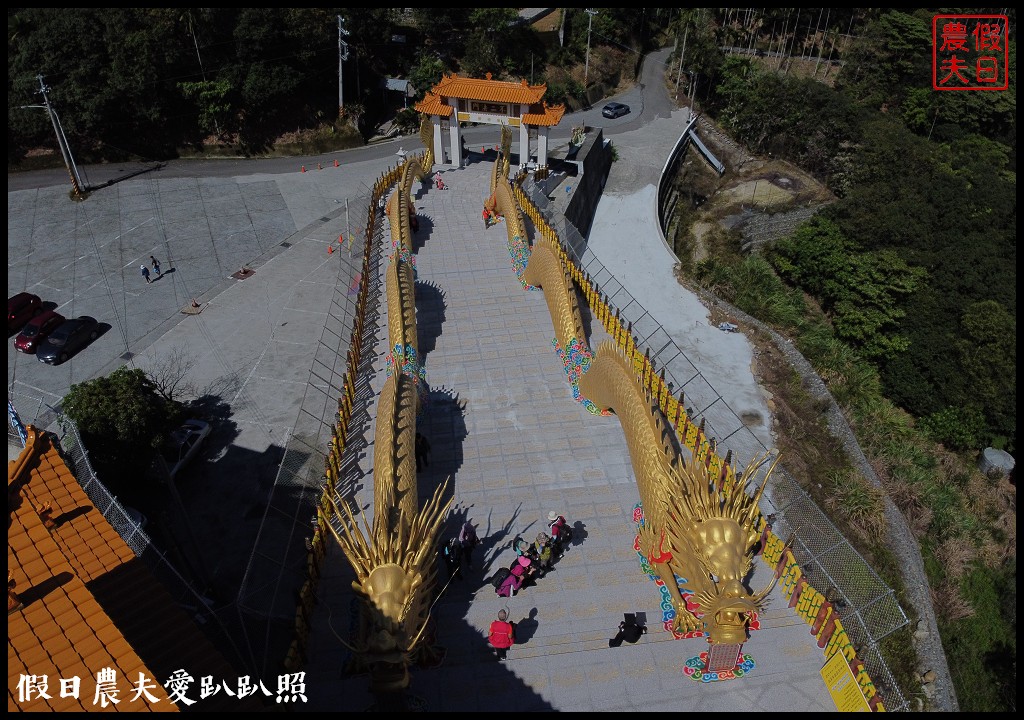 新地標❗️中寮金龍山法華寺雙龍朝聖鳳迎賓|亞洲最長最大的金龍階梯