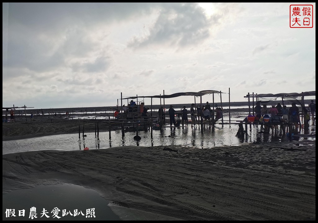 王功漁港|觀光採蚵車生態探索之旅/王功漁火節