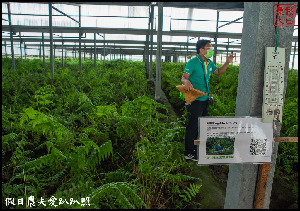 雲林麥寮景點|晁陽綠能園區．台灣首座太陽能休閒農場