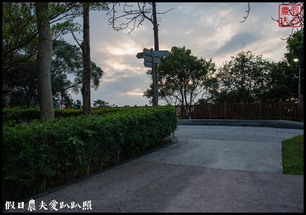 永春崗公園|搭公車近距離欣賞台北101的夜景