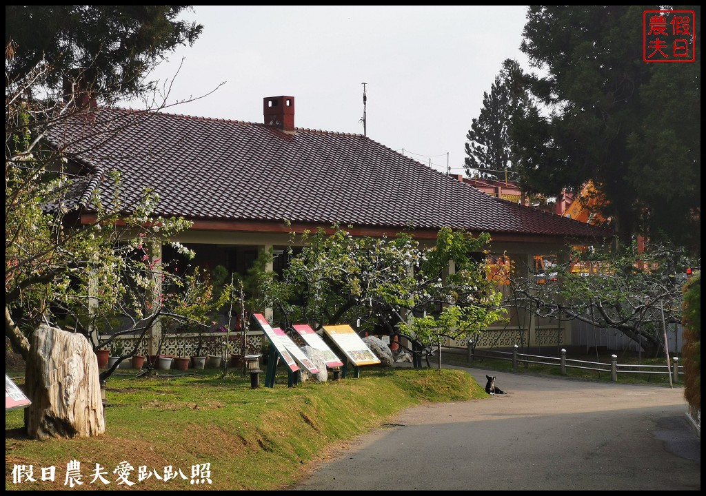 福壽山農場|四季都有好風光．賞花住宿怎麼玩