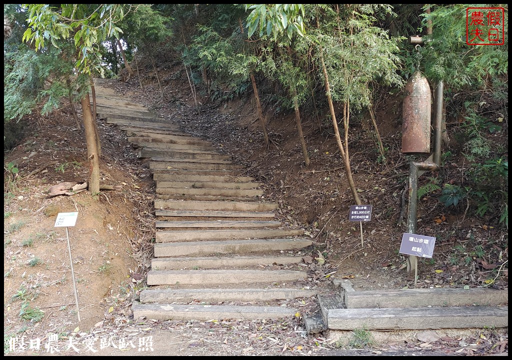 麻布山林|隱身在新竹北埔的神祕住宿．豐富生態還有環山步道