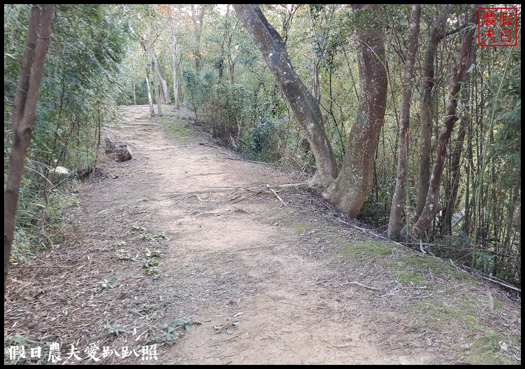 麻布山林|隱身在新竹北埔的神祕住宿．豐富生態還有環山步道