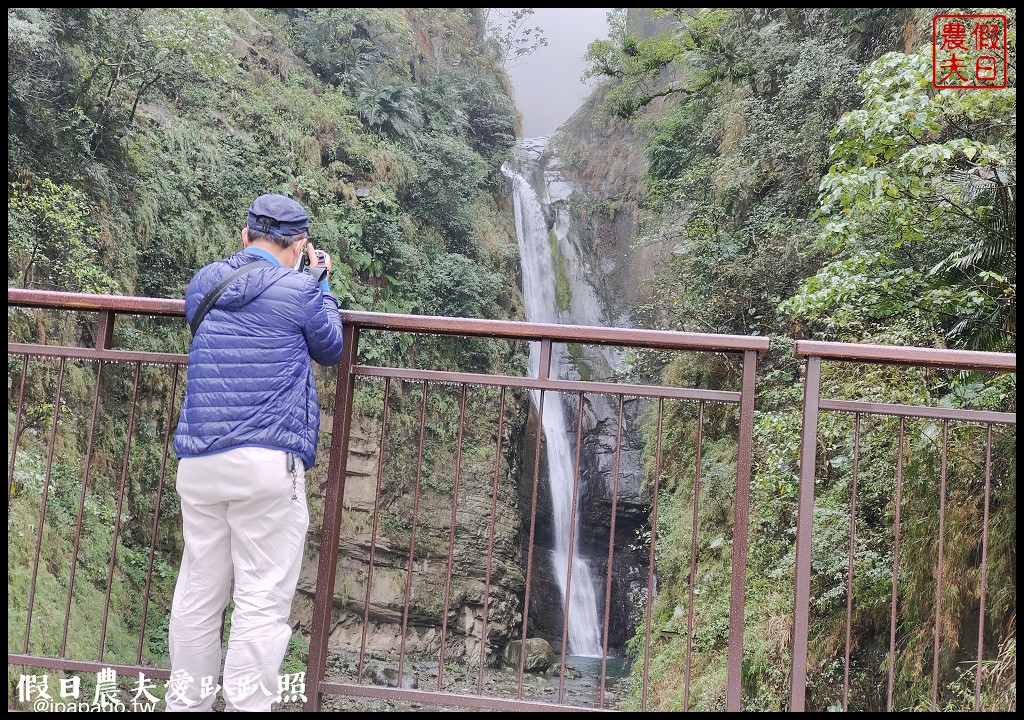 從跨河空中觀瀑平台近距離欣賞竹山第一美瀑瑞龍瀑布的美景