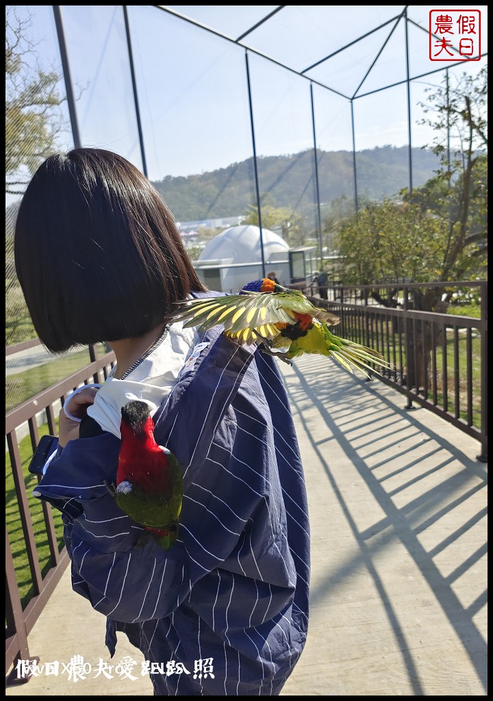 草屯九九峰動物樂園|佔地20公頃亞洲最大的國際級鳥園8/19正式開幕