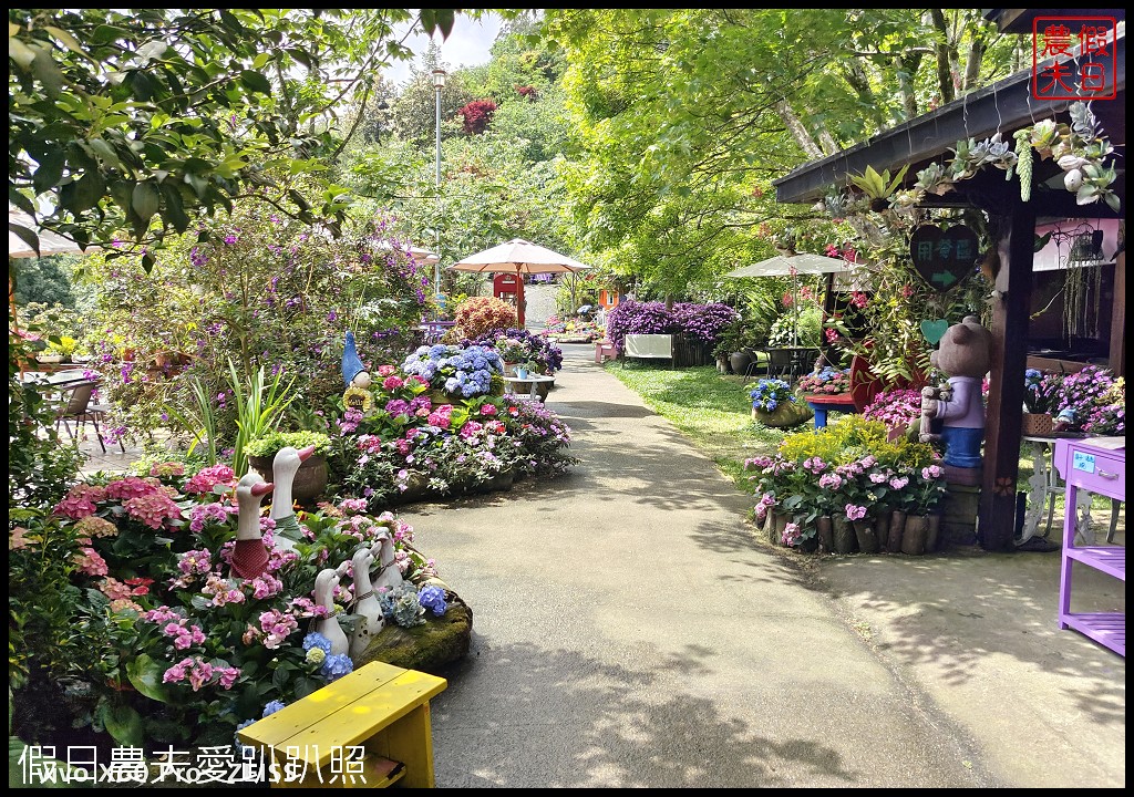 碧絡角花園咖啡民宿|快來山林裡的秘密花園賞繡球花