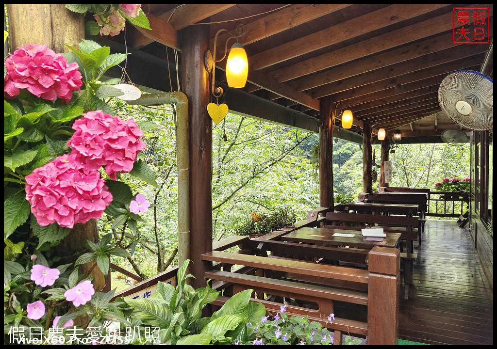 碧絡角花園咖啡民宿|快來山林裡的秘密花園賞繡球花
