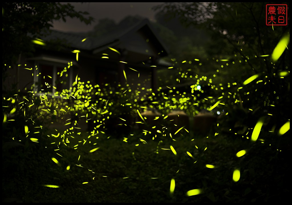蓬萊生態農場仙山民宿|走出房間就看得到螢火蟲