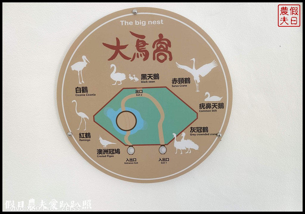 草屯九九峰動物樂園|亞洲最大的國際級鳥園即將開園