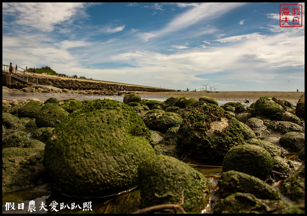 苑裡抹茶灣麗|季節限定的抹茶海岸．快來看海邊的抹茶糰子