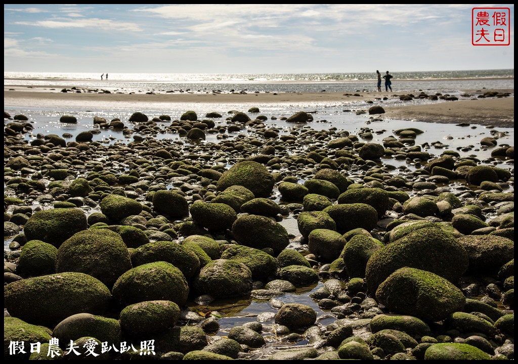 苑裡抹茶灣麗|季節限定的抹茶海岸．快來看海邊的抹茶糰子