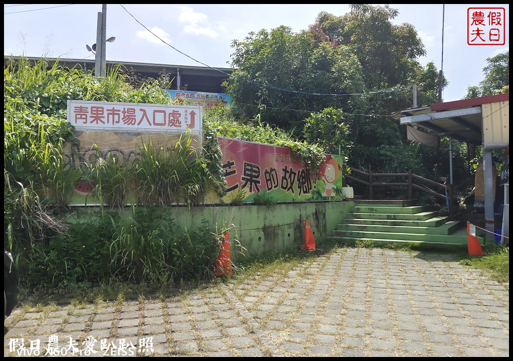 到台灣最大檨仔市跟農民買芒果|玉井青果集貨場芒果批發市場