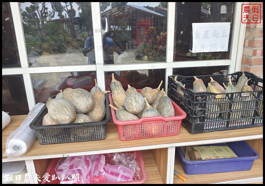 三灣夏梨茶香農村體驗遊程|茶香包DIY採梨吃美食走秘境