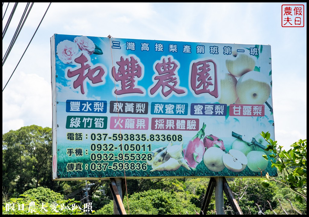 三灣遊程夏梨茶香農村體驗遊程|茶香包DIY採梨吃美食走秘境