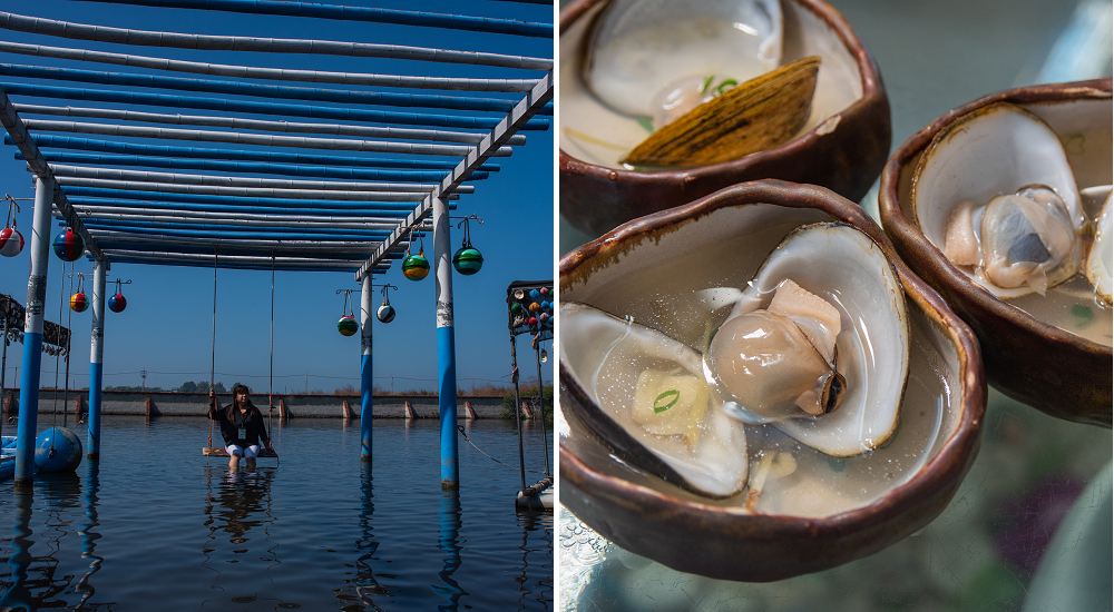 一顆馬蹄蛤就能煮一碗養生湯 還有水中鞦韆獨木舟可以拍網美照|馬蹄蛤主題館