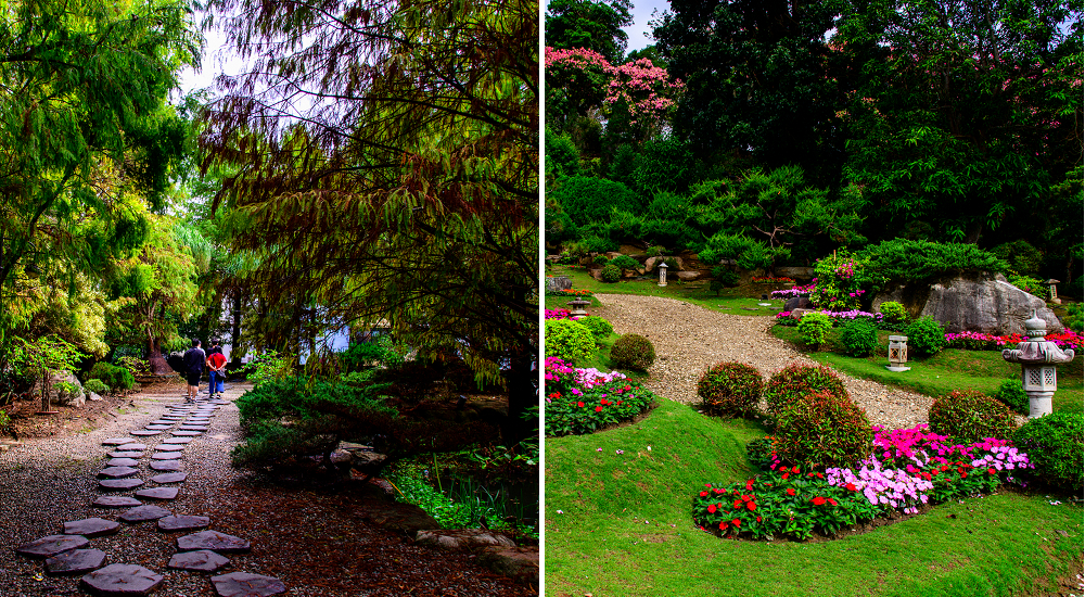 品園日式花園|7000坪私人豪宅庭園免門票入園參觀/美麗的好花園